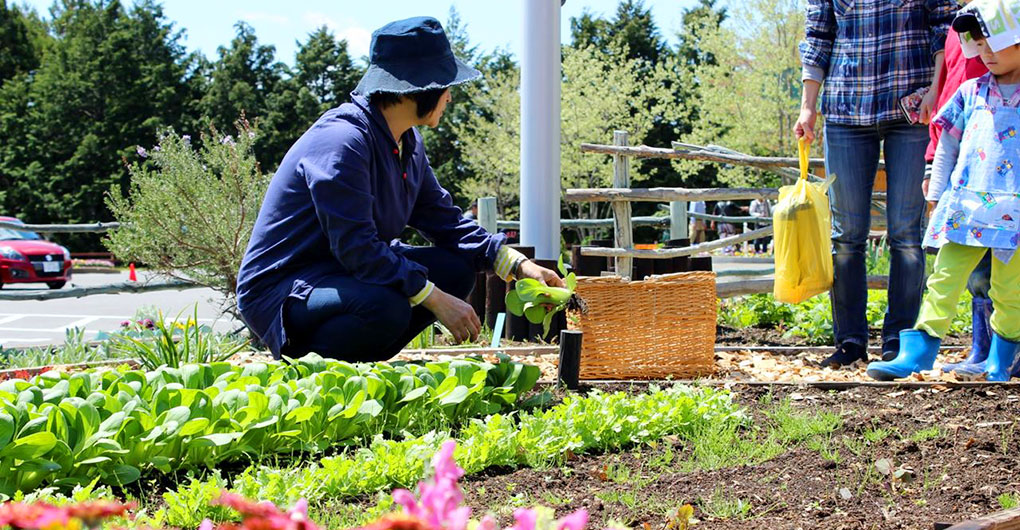 岡井路子さんと畑で野菜づくりとおいしいごはん