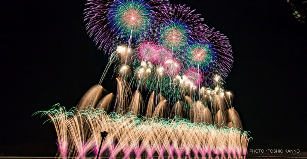 どんぐり広場サイト～花火の祭典プラン～