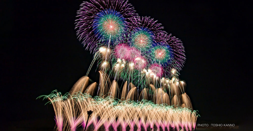 どんぐり広場サイト～花火の祭典プラン～