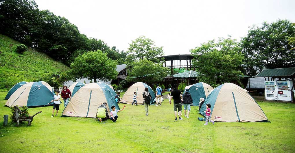 生きもの探しファミリーキャンプ～ホタル観賞と初夏の生きもの編～