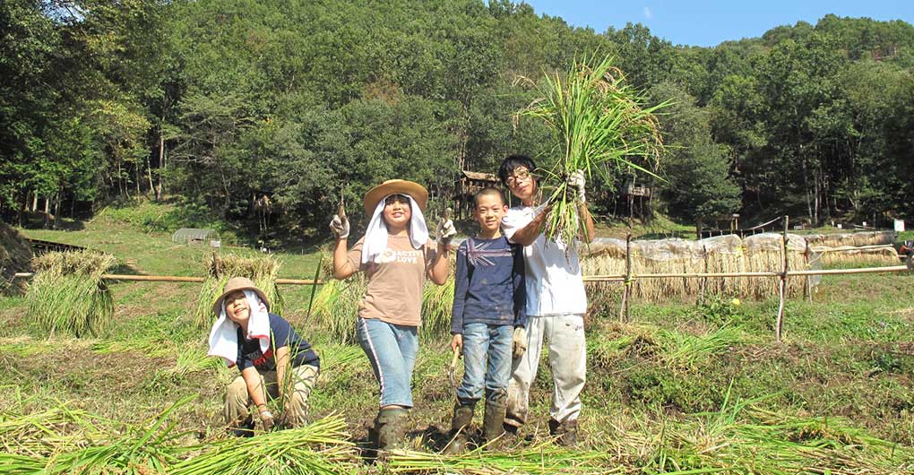 新米プレゼント付き！親子里山体験あそび～稲刈り～
