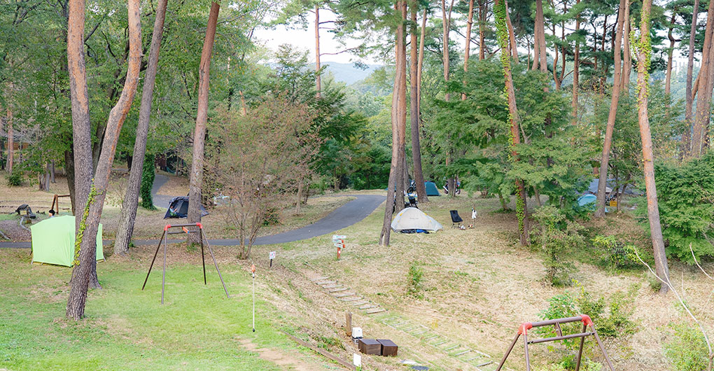 MotoGP&trade; FOREST RIDER’S CAMP