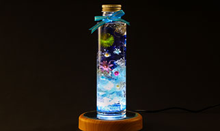 花火ハーバリウム