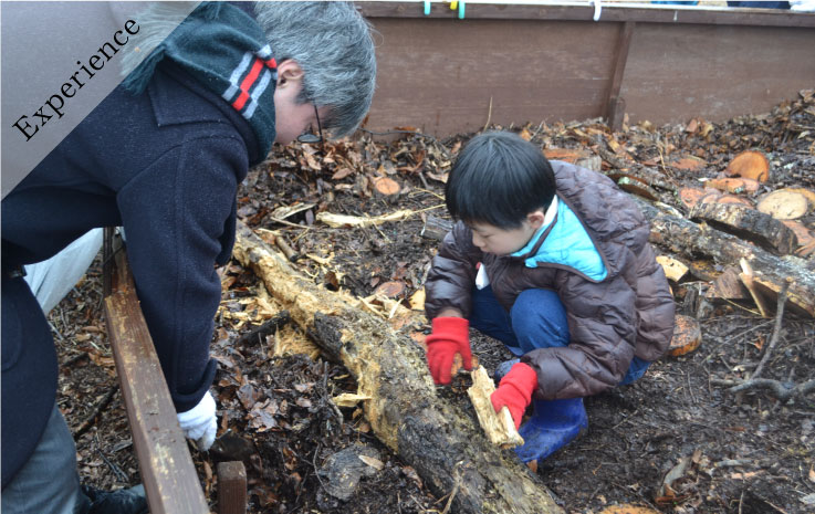カブトムシの幼虫さがしと飼育セットづくり