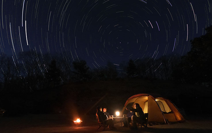 どんぐり広場サイト～満喫プラン～