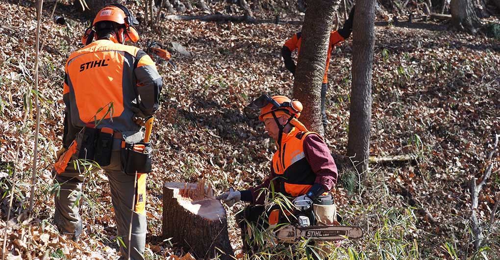 Forest Creation Workshop ~ Logging ~