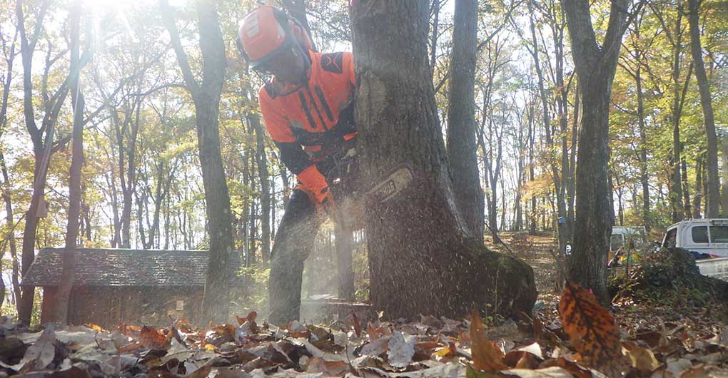 Forest Creation Workshop ~Felling and Timber Extraction~