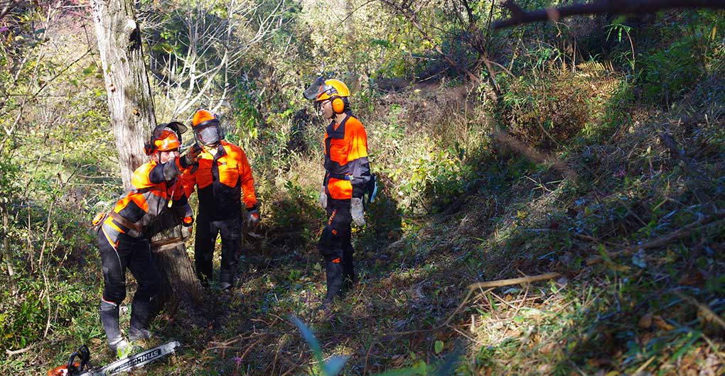 Forest Creation Workshop ~Felling and Timber Extraction~