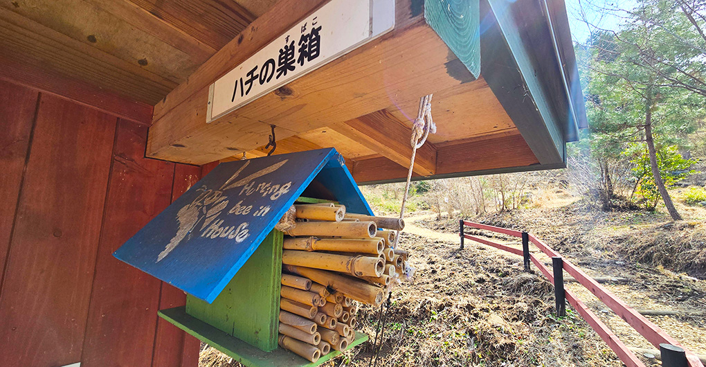 Parent-child mountain experience play