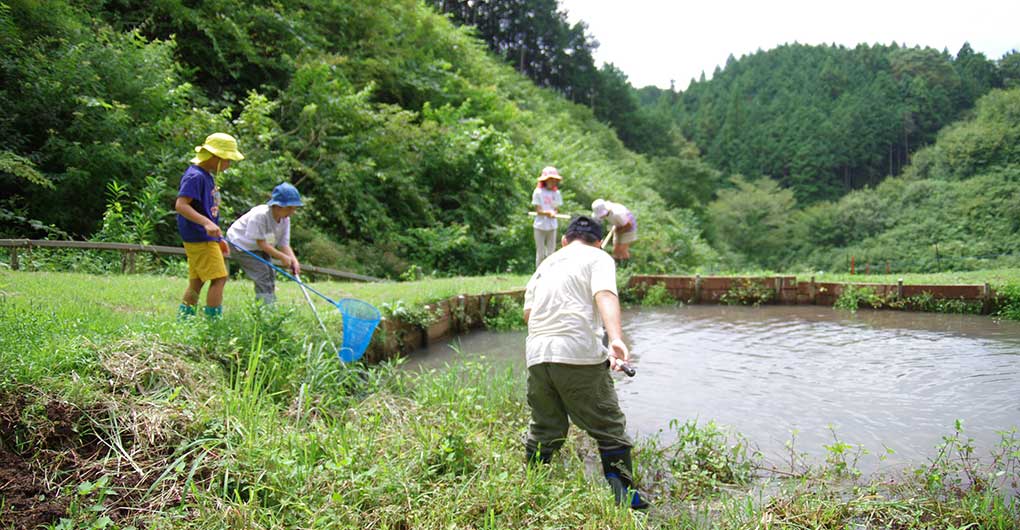 Includes a new rice gift! Parent-child Satoyama experience play ~Rice Harvesting~