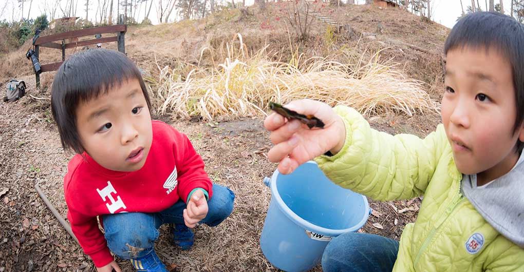 Pond Water Scooping and Creature Catching: Kaibori Experience