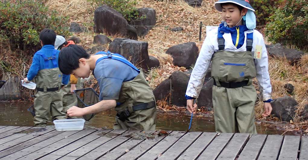 Pond Water Scooping and Creature Catching: Kaibori Experience