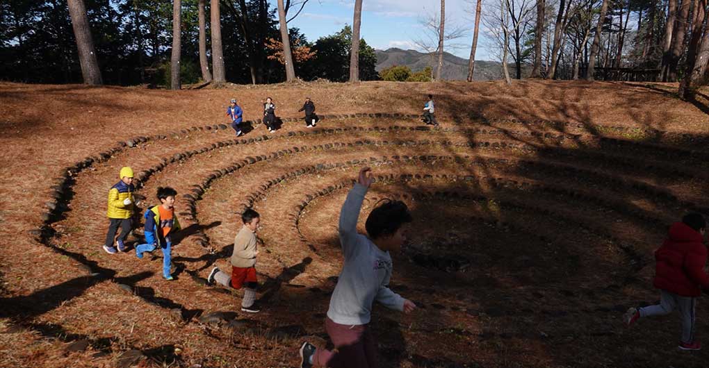 Acorn Forest Playful Exploration Team