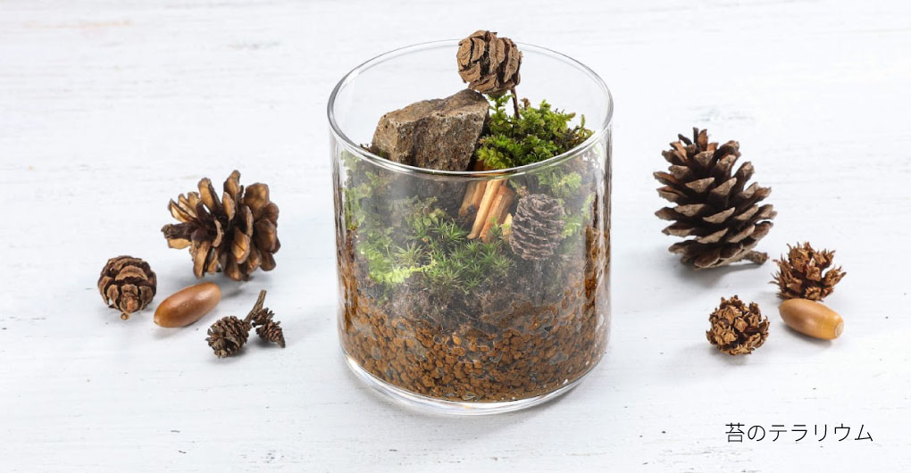 Crafting experience using Hello Woods materials