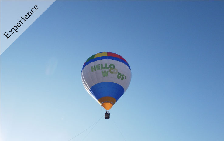 Hot Air Balloon Tethered Ride Experience