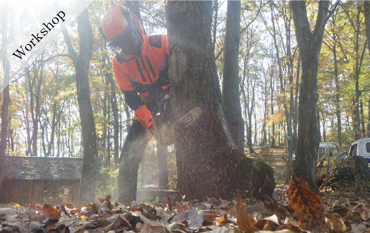 Forest Creation Workshop ~ Logging ~