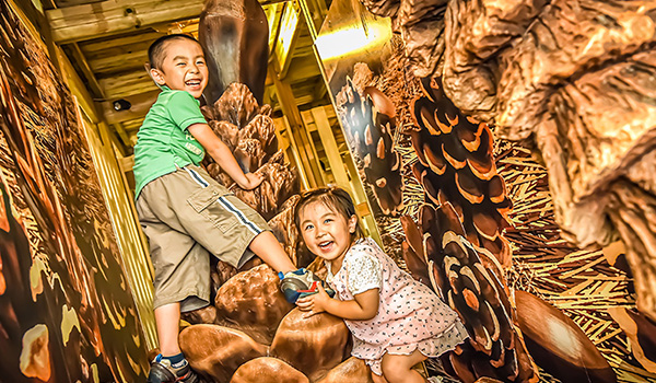 Maze Palace in the Wood, ITADAKI