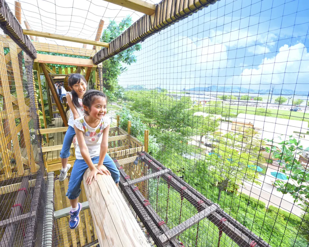 Athletic Course in the Wood, DOKIDOKI