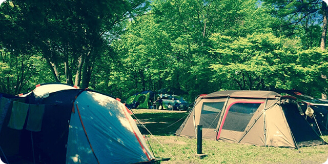Camp