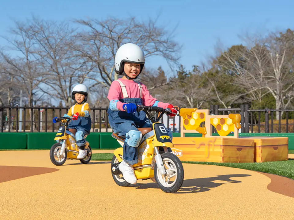 Special Day Passport