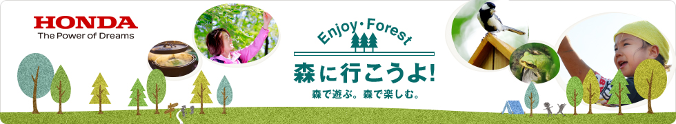 Let's go to the forest!