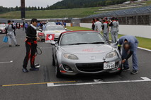 September 13, 2025 (Sat) JOY TAI Photo Gallery