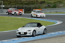 September 13, 2025 (Sat) JOY TAI Photo Gallery