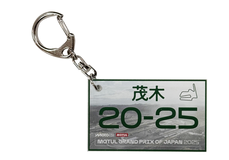 Number Plate Acrylic Key Holder
