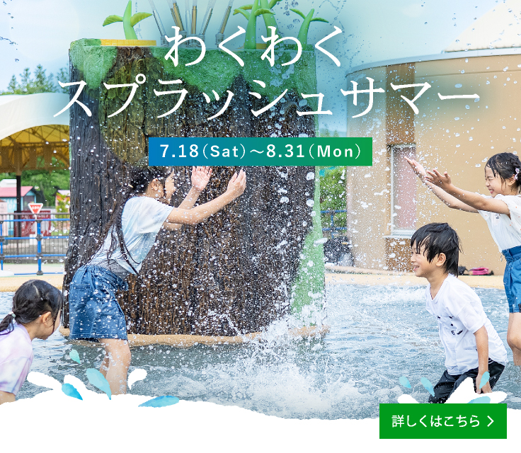 Summer Events