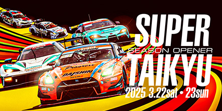 Super Taikyu