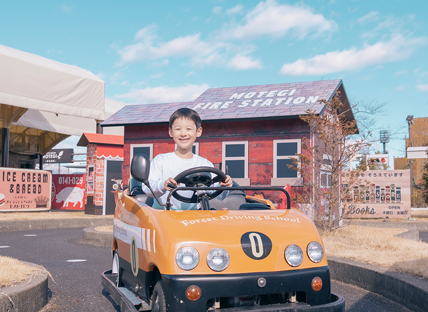 Forest Driving School "THE FINAL DRIVE 2026"