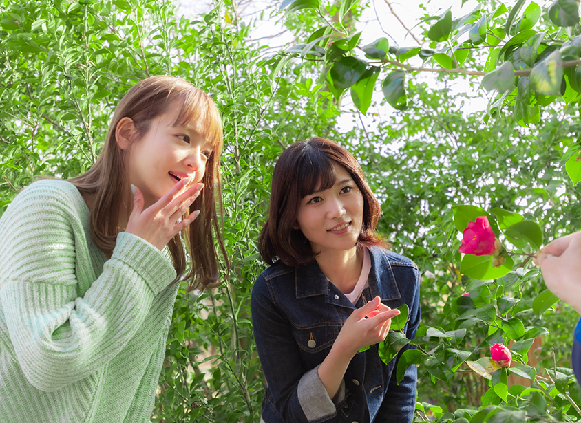 Acorn Forest Guided Walk
