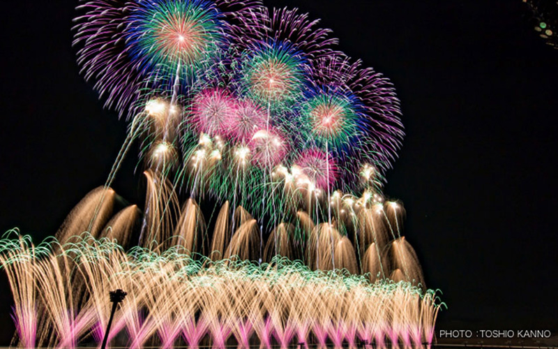 Donguri Plaza Site - Firework Festival Plan -