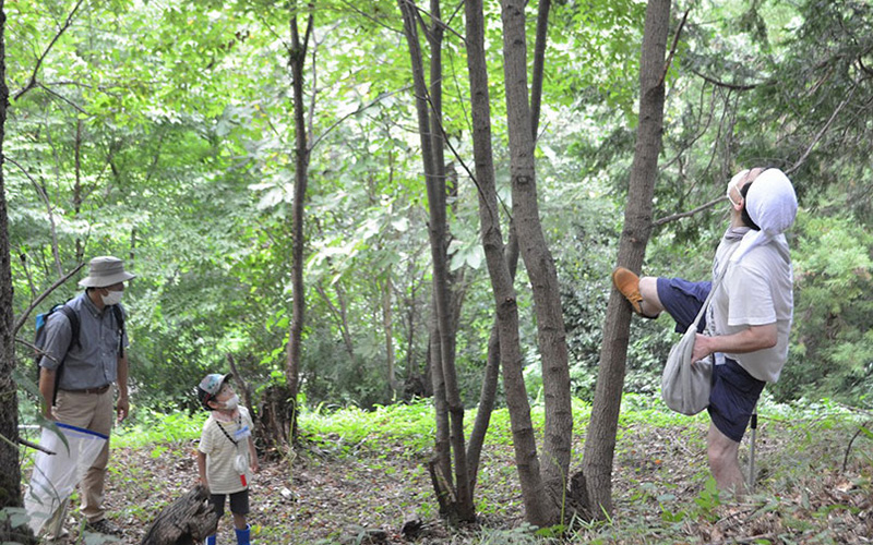 [Guests Only] Morning Insect Collecting Tour
