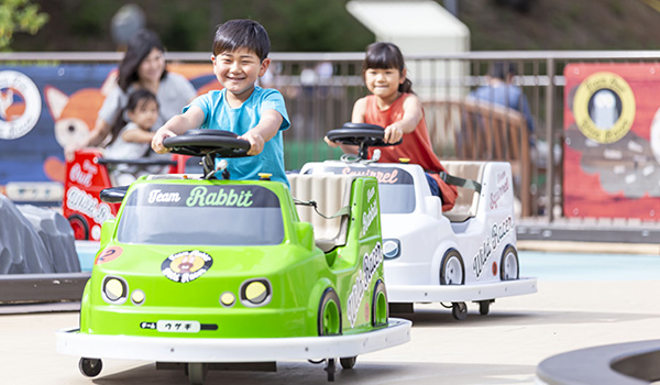 ワイルドレーサー