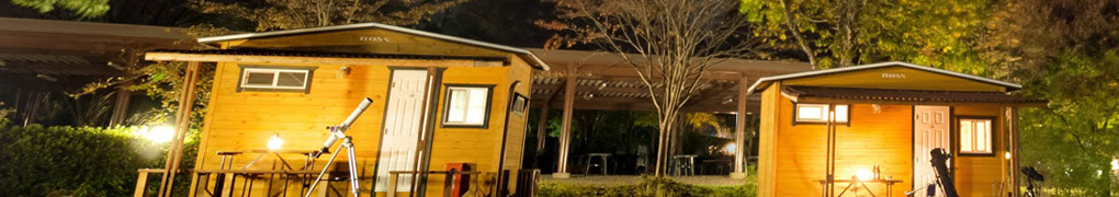 キャンプアクティビティ