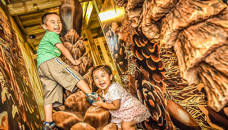 迷宮森殿 ITADAKI