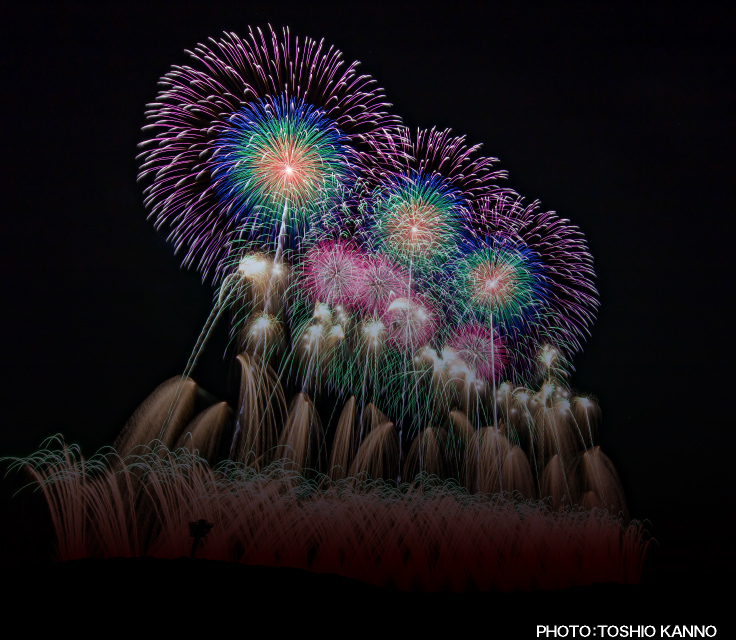 モビリティリゾートもてぎ花火の祭典 夏 モビリティリゾートもてぎ