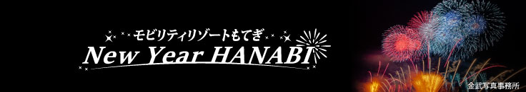 モビリティリゾートもてぎ花火の祭典