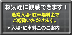 お気軽に観戦できます！