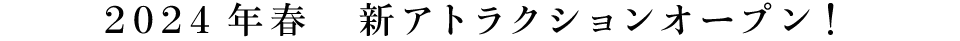 VAgNV