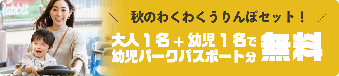 秋のわくわくうりんぼセット
