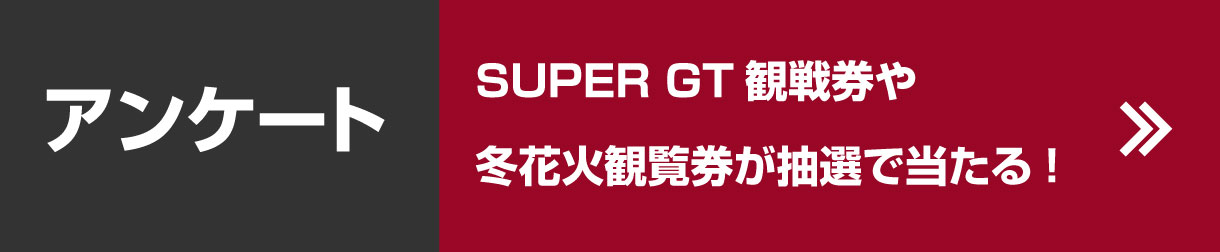 AP[g