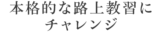 森の市街地コースをドライブして交通ルールを学ぼう
