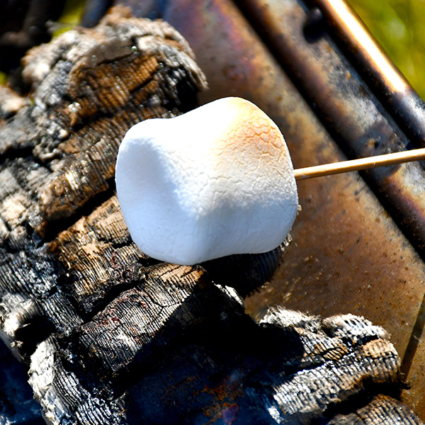 日帰りアクティビティ