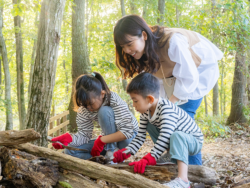 カブトムシの幼虫さがしと飼育セットづくり