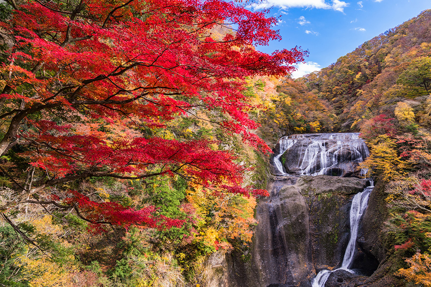 袋田の滝