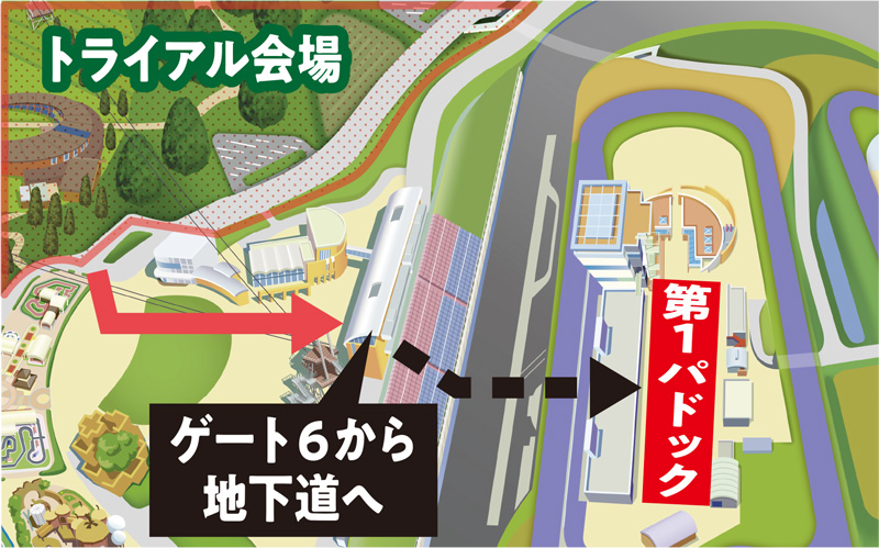第1パドック
