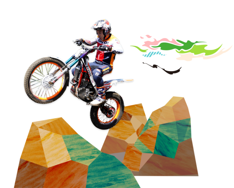 競技の楽しみ方