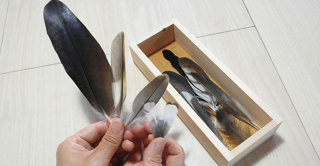 野鳥羽毛手作藝與森林散步